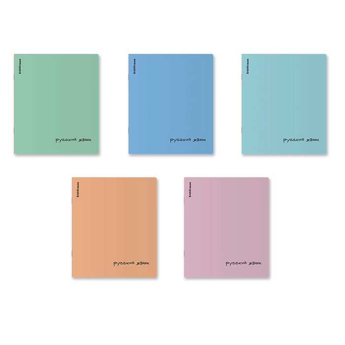 Тетрадь 48л лин Русский язык, ErichKrause Dream, обл.пластик