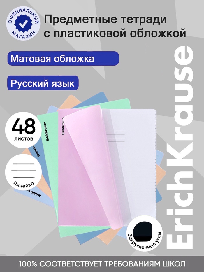 Тетрадь 48 листов в линейку «Русский язык» ErichKrause Dream - Фото 1