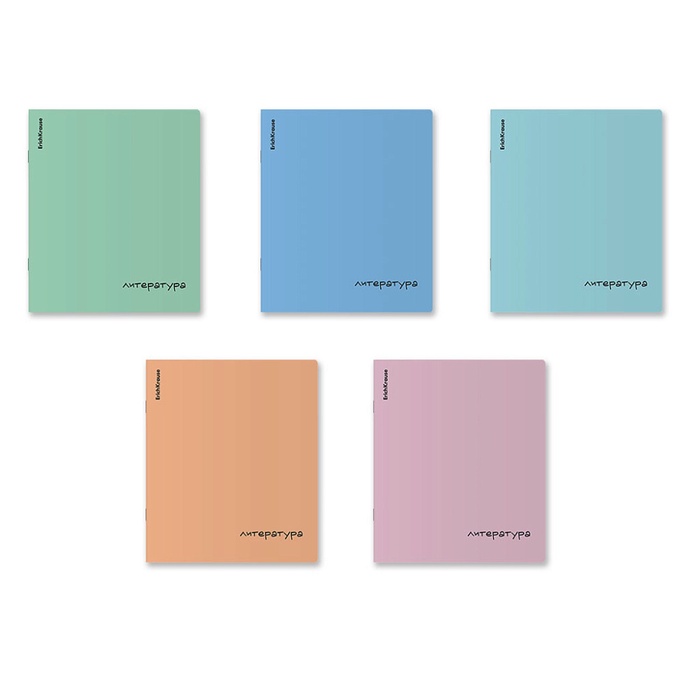 Тетрадь 48л лин Литература, ErichKrause Dream, обл.пластик