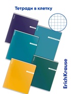 Комплект тетрадей 48 листов в клетку/линейку ErichKrause CoverPro Photon, 12 штук 11028728 - фото 10128824