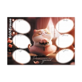 Расписание уроков A4, ErichKrause Prima Cat 11028733