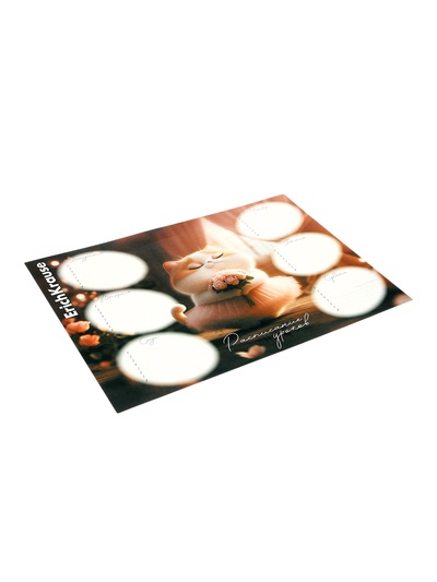 Расписание уроков A4, ErichKrause Prima Cat