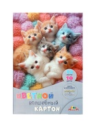 Картон цветной волшебный А4 «Котята», 10 листов, 10 цветов, 200 г/м² , мелованная, в папке 11018368 - фото 10129158