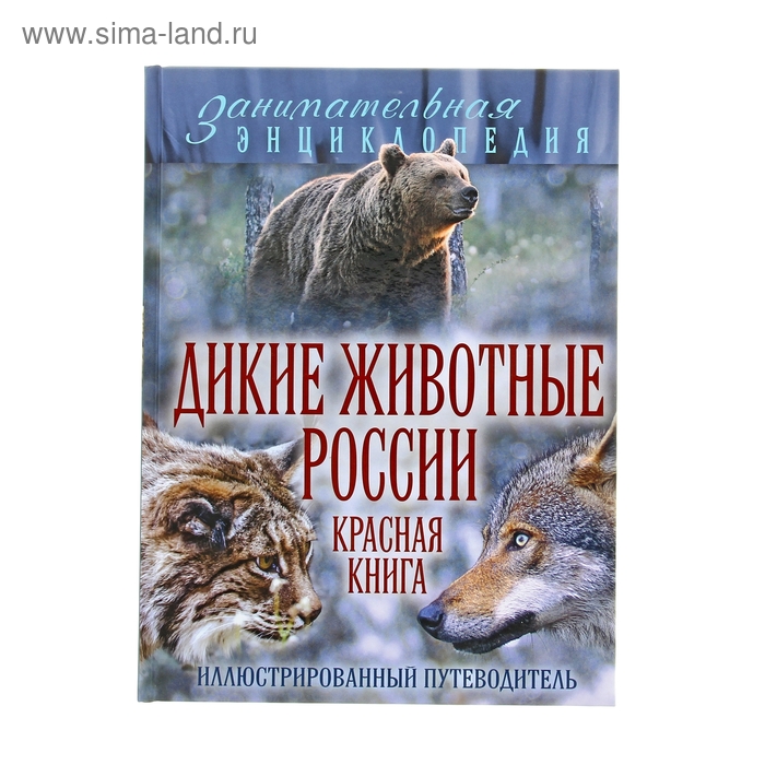 Энциклопедия дикой природы. Дикие животные красной книги. Животные России книга и Автор. Очеретний Дикие. Красная книга для начальной школы Аванта.