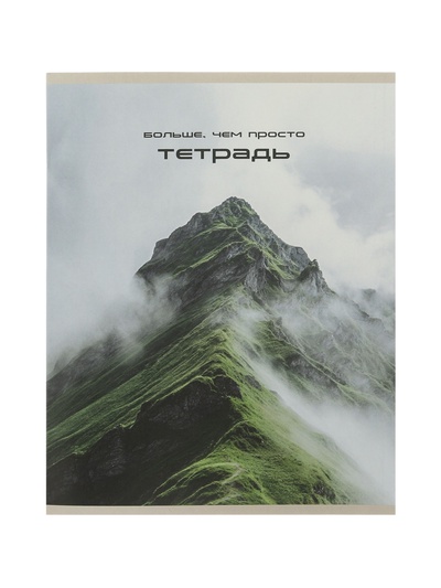 Набор тетрадей из 10 штук, 24 листа в клетку Calligrata «Ландшафт», блок офсет, 5 видов