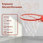 Корзина баскетбольная №7, d=450 мм, стандартная, с сеткой - фото 10309642