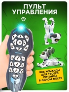 УЦЕНКА Робот - собака «Трюкач», звуковые эффекты, управление с пульта - Фото 5