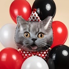 Воздушный шар фольгированный 29" «Кот в колпаке» - Фото 3