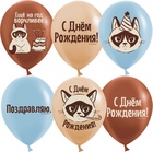Воздушные шары латексные 12" "С Днем Рождения! (Сердитая кошка)" 2 ст., МИКС, набор 25 шт. - фото 809671376