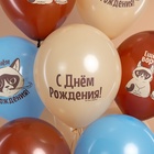 Воздушные шары латексные 12" "С Днем Рождения! (Сердитая кошка)" 2 ст., МИКС, набор 25 шт. - фото 809671378