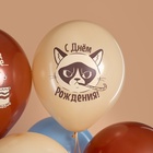Воздушные шары латексные 12" "С Днем Рождения! (Сердитая кошка)" 2 ст., МИКС, набор 25 шт. - фото 809671380