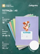 Тетрадь 18 листов в клетку Calligrata KIDS, блок №2, 5 В МИКС 10991165