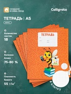 Тетрадь 18 листов в клетку Calligrata KIDS, блок №2, 5 В МИКС 10991167