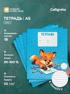 Тетрадь 18 листов в линейку Calligrata KIDS, блок №2, 5 В МИКС 10991169