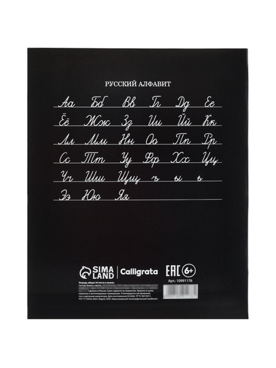 Тетрадь 24 листа в линейку Calligrata «Гоночные авто», блок №2, 5 В МИКС