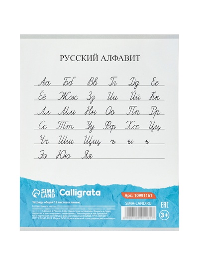 Набор тетрадей из 10 штук 12 листов в линейку Calligrata KIDS, блок №2, 5 видов