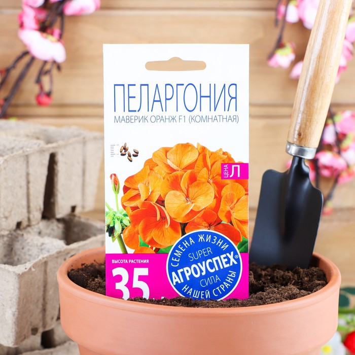 Семена комнатных цветов Пеларгония "Oранж", 4 шт. - Фото 1
