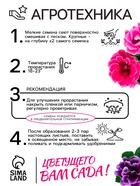 Семена комнатных цветов Глоксиния «Махровая смесь», F1, «Агроуспех», 5 шт. - Фото 2