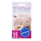 Семена комнатных цветов Пеларгония "Эйплблоссом", 4 шт. - Фото 3