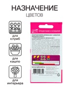 Семена комнатных цветов Пеларгония «Эйплблоссом», 4 шт., «Агроуспех» - Фото 3