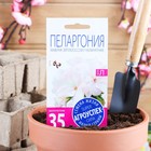 Семена комнатных цветов Пеларгония "Эйплблоссом", 4 шт. - Фото 1