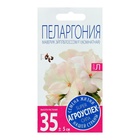 Семена комнатных цветов Пеларгония «Эйплблоссом», 4 шт., «Агроуспех» - Фото 5