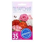 Семена комнатных цветов Пеларгония "Cмесь", 4 шт. - фото 17318266