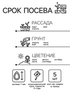 Семена комнатных цветов Кальцеолярия «Башмачки», F1, 5 шт. - Фото 4