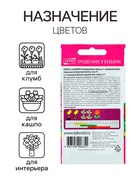 Семена комнатных цветов Кальцеолярия «Башмачки», F1, 5 шт. - Фото 5