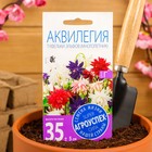 Семена цветов Аквилегия "Туфельки Эльфов", 0,1 г - фото 9312962
