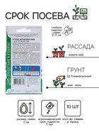 Семена Огурец Китайские змеи пчелоопыляемый плетистый ( 10 шт семян) - Фото 2