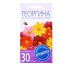 Семена цветов Георгина Веселые ребята, О, 0,2г - Фото 1