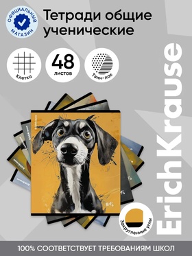 Тетрадь 48 листов в клетку ErichKrause Goofy