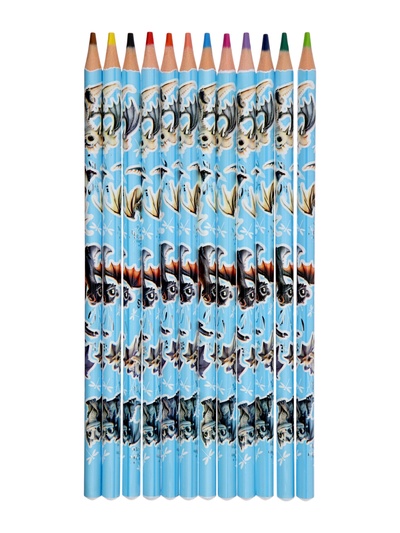 Карандаши 12 цветов ErichKrause Magic Pet, пластиковые, трехгранные, 3 мм, в ПЭТ-боксе с европодвесом