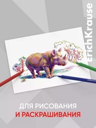 Фломастеры ErichKrause Safari Ultra Washable 12 цветов, в футляре с европодвесом 11041433