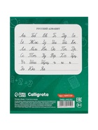 Тетрадь 12 листов в линейку Calligrata KIDS, блок офсет, МИКС 10991159