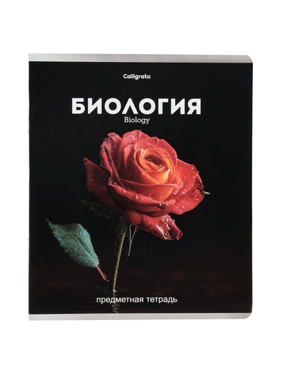 Набор предметных тетрадей «Черная серия», 12 штук, 48 листов, со справочной информацией