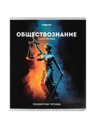 Набор предметных тетрадей «Черная серия», 12 штук, 48 листов, со справочной информацией 10963342 - фото 10938966