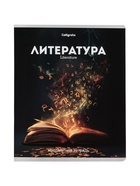 Набор предметных тетрадей «Черная серия», 12 штук, 48 листов, со справочной информацией 10963342 - фото 10938979