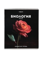 Набор предметных тетрадей «Черная серия», 12 штук, 48 листов, со справочной информацией 10963342 - фото 10938948