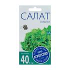 Семена Салат Лифли листовой, 0,5г - Фото 2