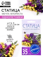 Семена цветов Статица «Мечта флориста», смесь, 0.1 г, однолетник, «Агроуспех» - Фото 3