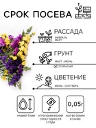 Семена цветов Статица «Мечта флориста», смесь, 0.1 г, однолетник, «Агроуспех» - Фото 4