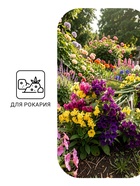 Семена цветов Статица «Мечта флориста», смесь, 0.1 г, однолетник, «Агроуспех» - Фото 5