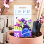 Семена цветов Статица Мечта флориста, смесь, О, 0,1 г - Фото 1