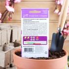 Семена цветов Статица Мечта флориста, смесь, О, 0,1 г - Фото 2