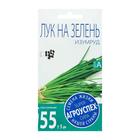Семена Лук на зелень «Изумруд», 1 г - Фото 2