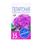 Семена комнатных цветов Пеларгония "Виолет", 4 шт. - Фото 3
