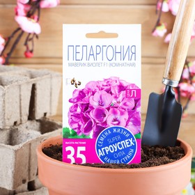 Семена комнатных цветов Пеларгония "Виолет", 4 шт.