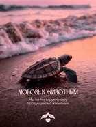 Крем-гель для душа Solzao CHERRY BEIJO с экстрактом ацеролы и маслом вишневой косточки, 400 мл 11041 - Фото 6